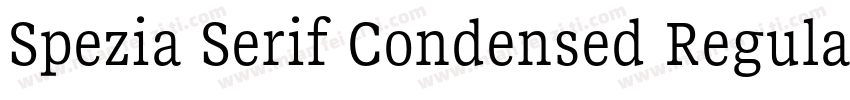 Spezia Serif Condensed Regular D字体转换